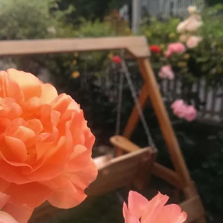 Apartamento Rose Sarajevo
